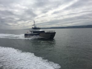 Image of Iceni Vengeance